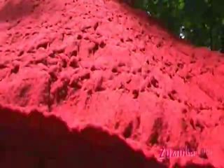 A สีแดง แต่งตัว ผีสางเทวดา ที่ the สวน การกระทำ 3